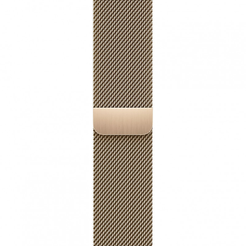 Apple Watch S9 41mm Gold / Stainless Steel Case