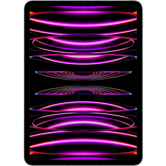 Apple iPad Pro 12.9 WiFi+Cellular 1Tb Space Gray (2022)