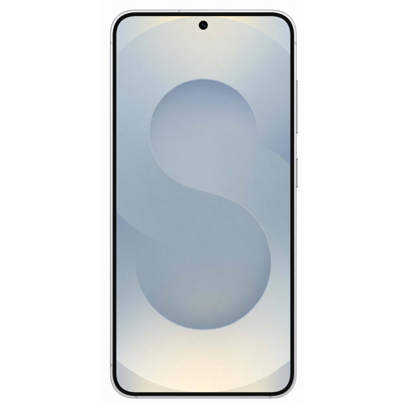 Samsung Galaxy S25 Plus 12/512Gb Silver Shadow