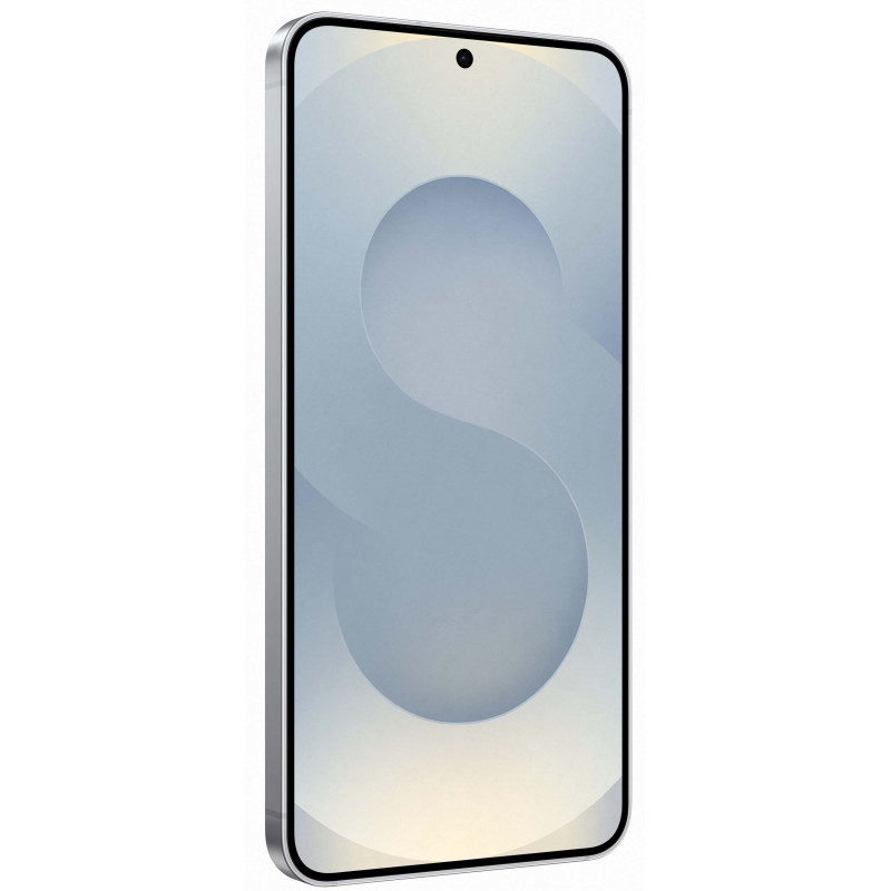 Samsung Galaxy S25 Plus 12/512Gb Silver Shadow