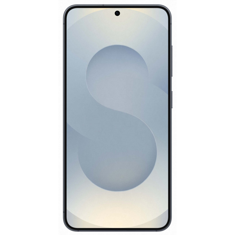 Samsung Galaxy S25 12/256Gb Blue Black